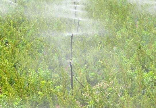 节水器材厂家:微喷灌系统有哪些优点?