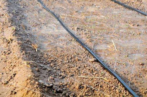 莱芜丰谷节水:微喷水带有什么特点?