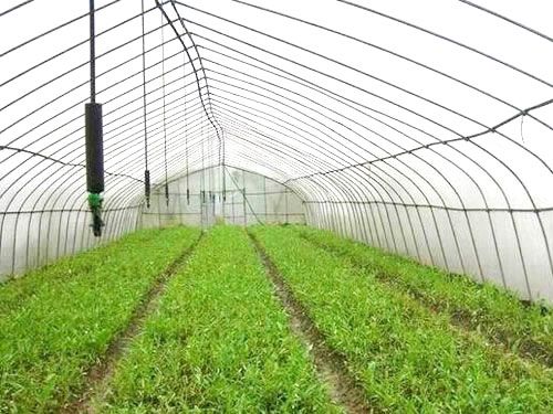 大棚蔬菜灌溉设备